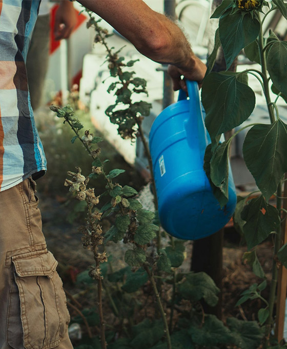 Comprar herramientas de Jardín